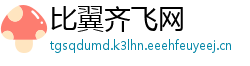比翼齐飞网